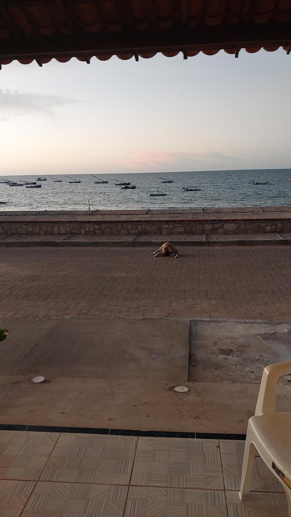 Chales Canto Do Mar Редонда Екстериор снимка